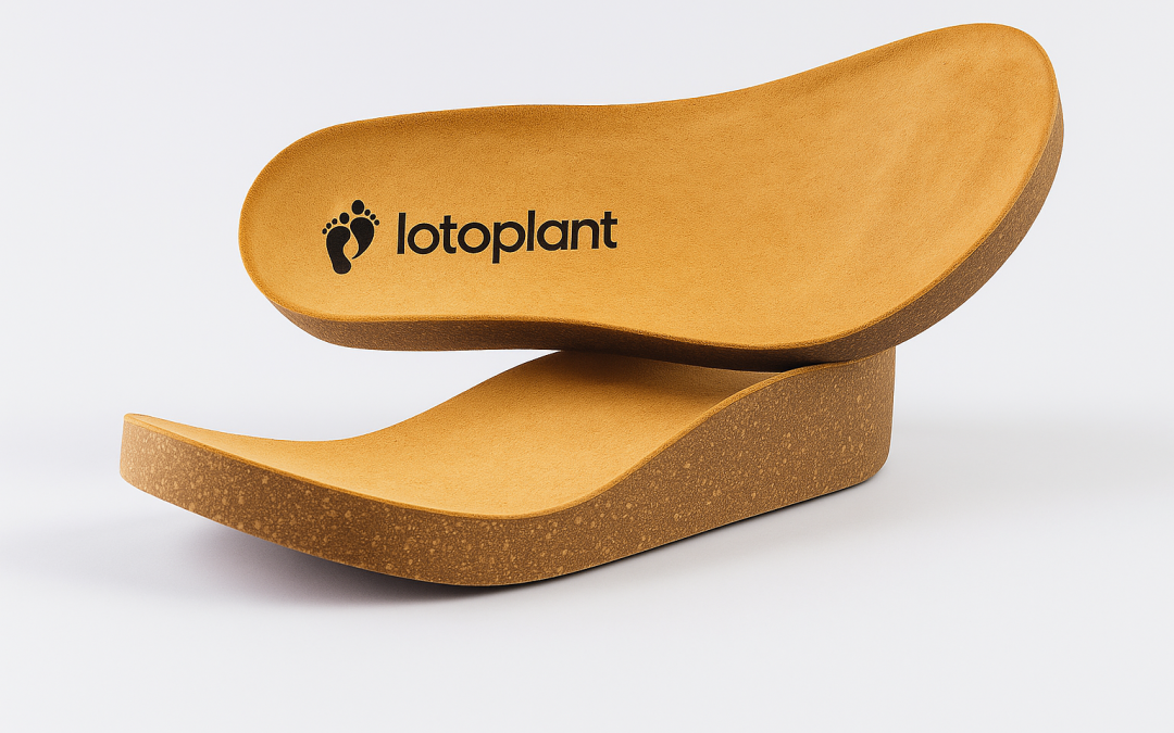 Los tipos de plantas ecológicas para los zapatos