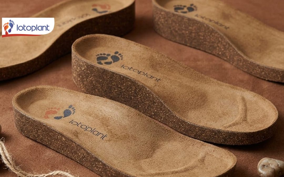 Transición industrial hacia el uso de materiales biodegradables para zapatos